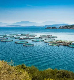 A view of fish farming pools in a lake surrounded by mountains